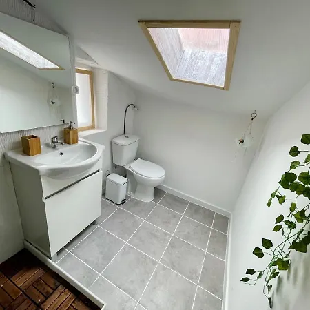 Cozy Attic In The Center 公寓